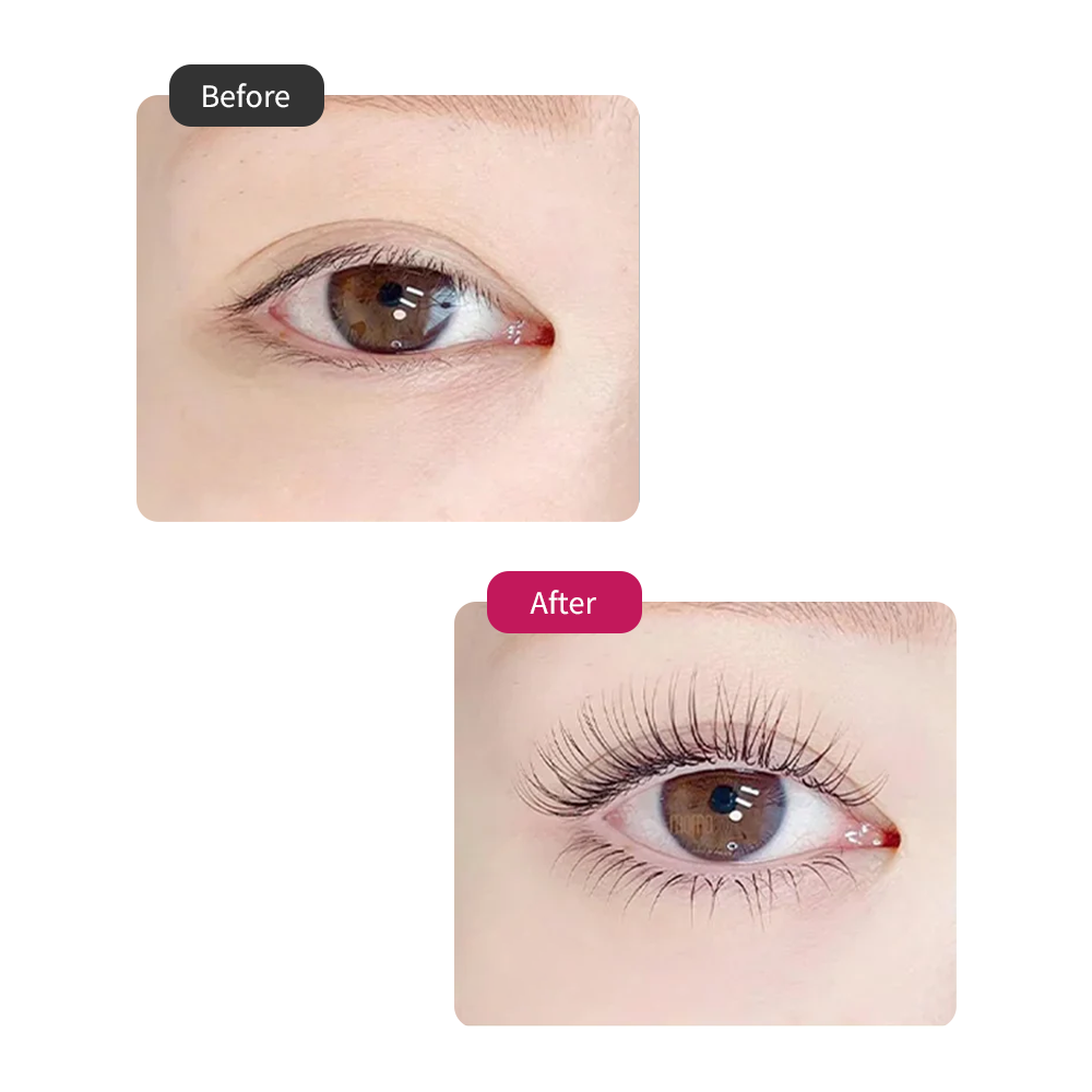 Brow & Lash Edit — Eyebrow Lamination & Lash Lift Kit