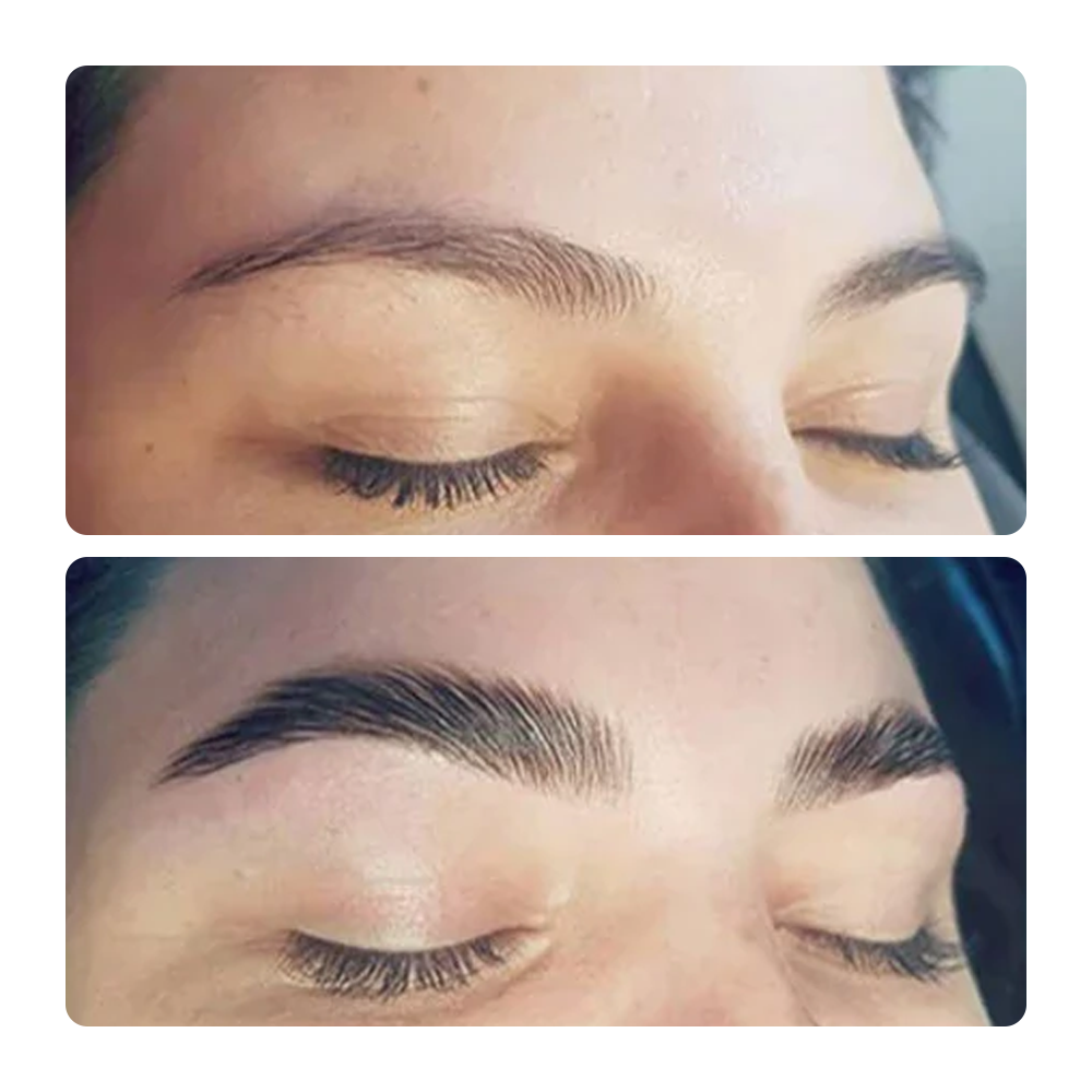 Brow & Lash Edit — Eyebrow Lamination & Lash Lift Kit